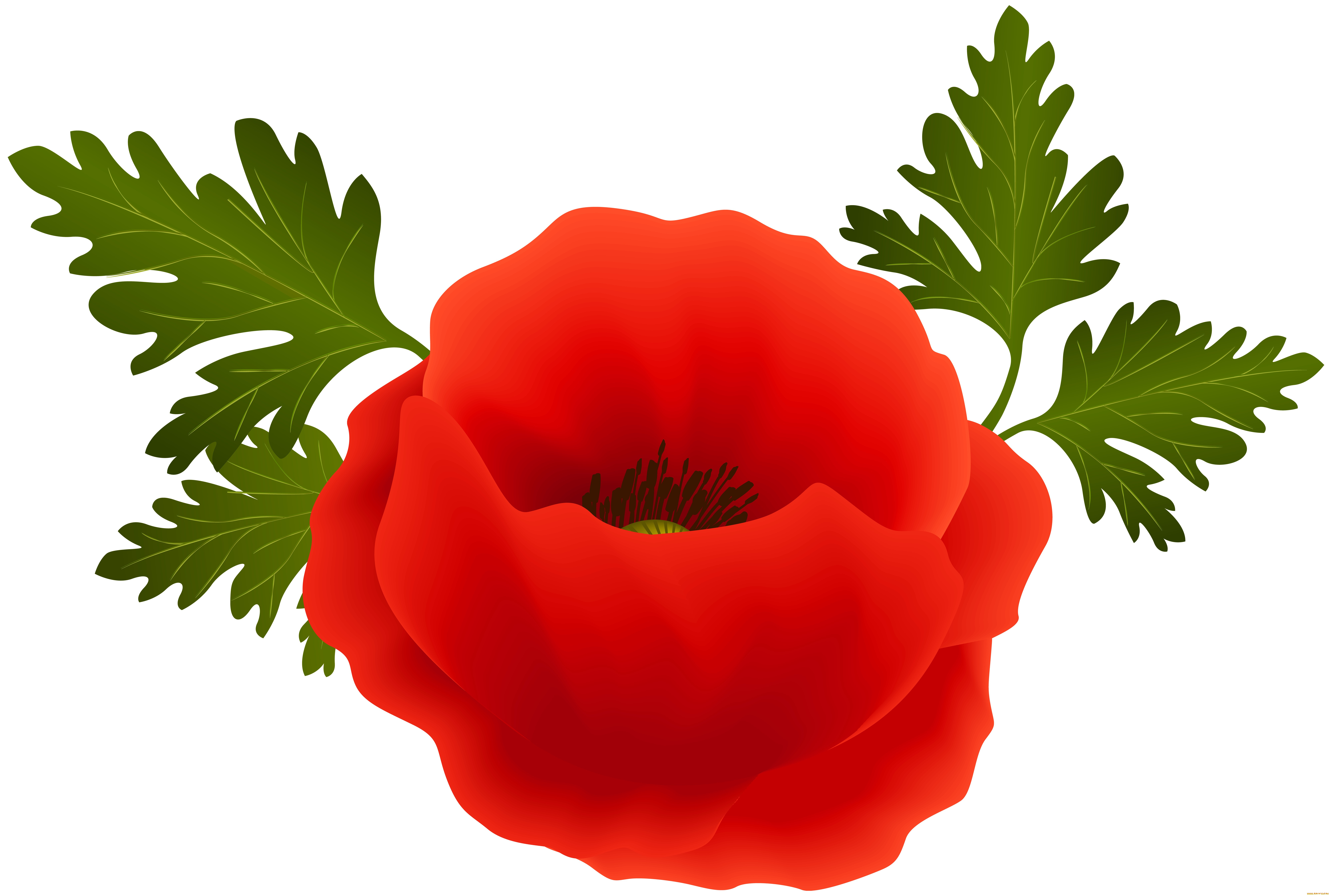  ,  , flowers, , , 